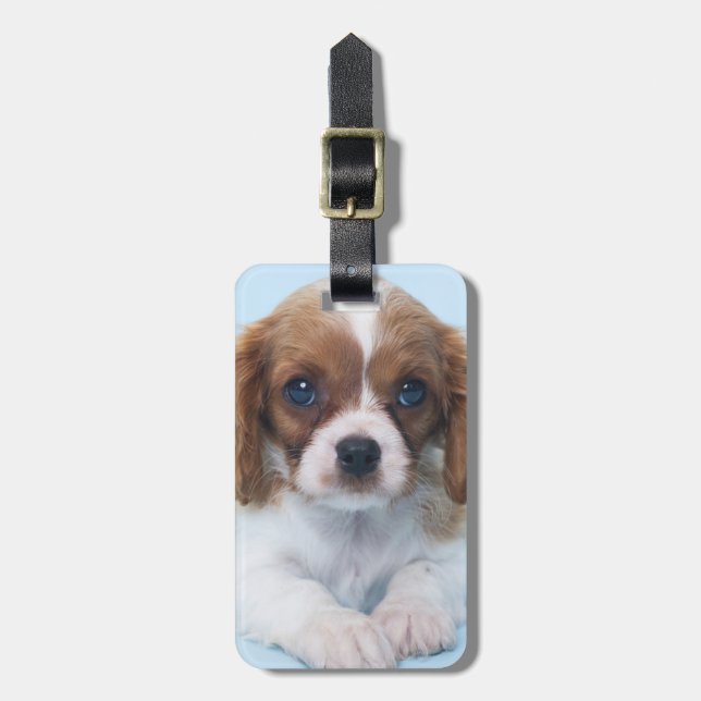 Cavalier King Charles Spaniel Puppy Luggage Tag (Front Vertical)