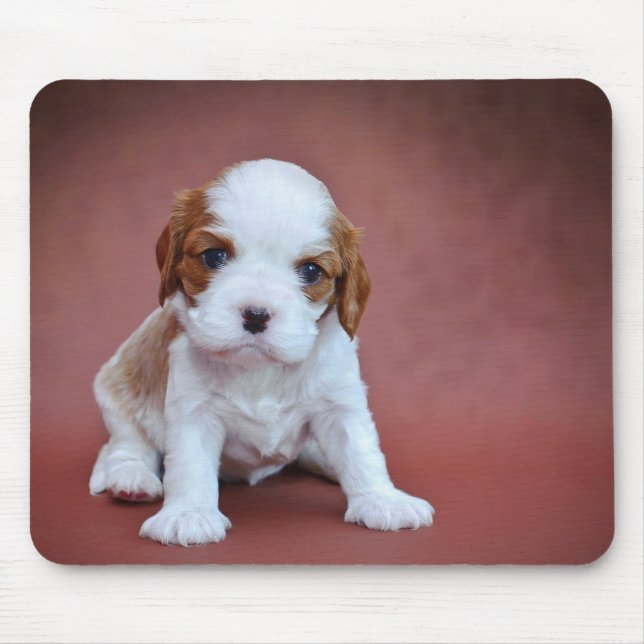 Cavalier King Charles Spaniel puppy Mouse Mat (Front)