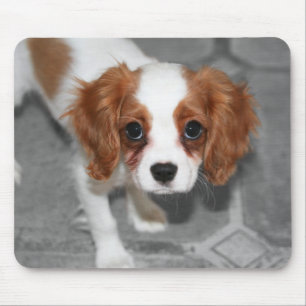 Cavalier King Charles Spaniel Puppy Mousepad