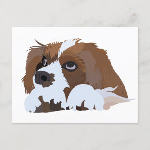 Cavalier King Charles Spaniel Puppy  Postcard