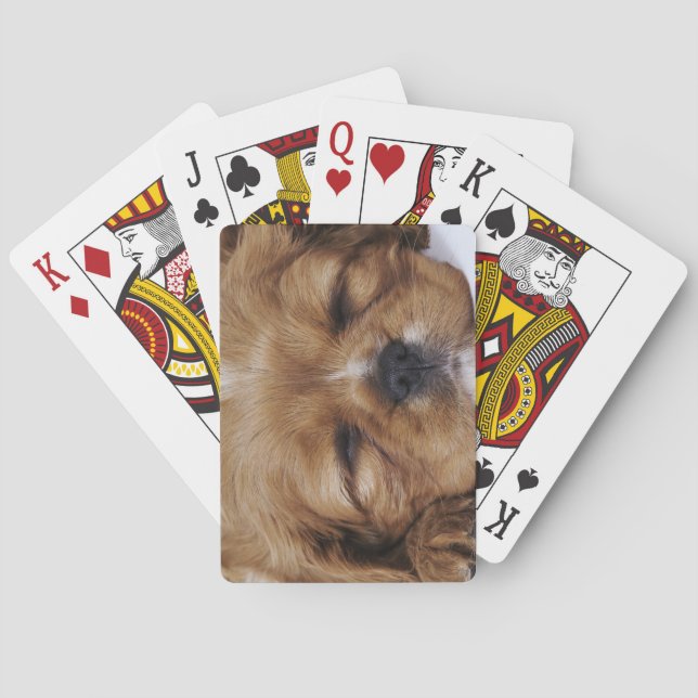 Cavalier King Charles Spaniel puppy sleeping Playing Cards (Back)