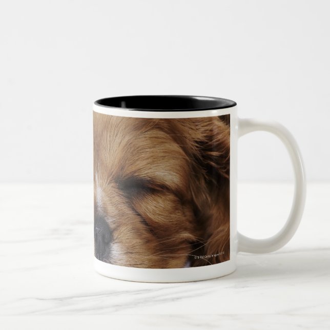 Cavalier King Charles Spaniel puppy sleeping Two-Tone Coffee Mug (Right)