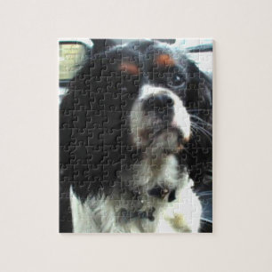 Cavalier King Charles Spaniel Puzzle