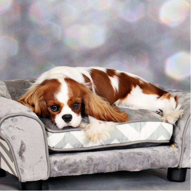 Cavalier King Charles Spaniel - Remington Standing Photo Sculpture (Front)