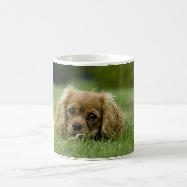 Cavalier King Charles Spaniel Ruby Coffee Mug (Center)