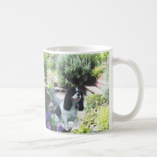 Cavalier King Charles Spaniel Savvy  Garden Mug