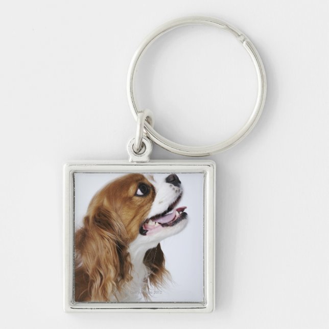 Cavalier King Charles Spaniel, side view Key Ring (Front)