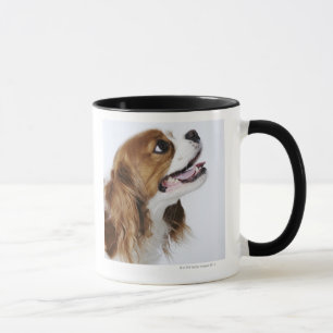 Cavalier King Charles Spaniel, side view Mug