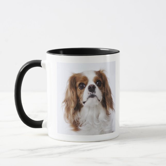 Cavalier King Charles Spaniel sitting in studio Mug (Left)
