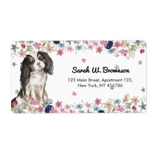 Cavalier King Charles Spaniel Small Size Dog
