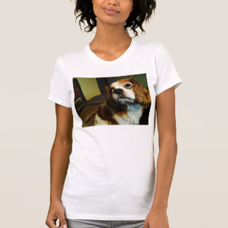 Cavalier King Charles Spaniel T-Shirts