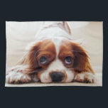 Cavalier King Charles Spaniel Tea Towel<br><div class="desc">Cavalier King Charles Spaniel.  Is this your favourite pet puppy,  your domestic dog.  frontiernow.com</div>