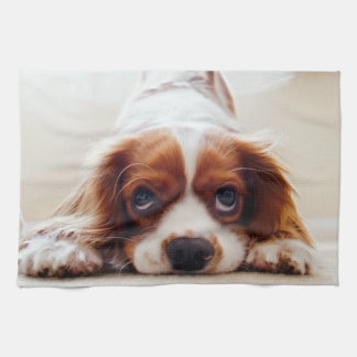 Cavalier King Charles Spaniel Tea Towel