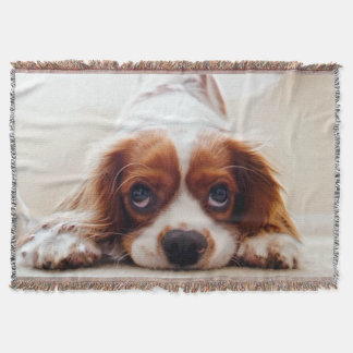 Cavalier King Charles Spaniel Throw Blanket