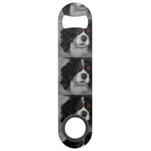 cavalier king charles spaniel tri