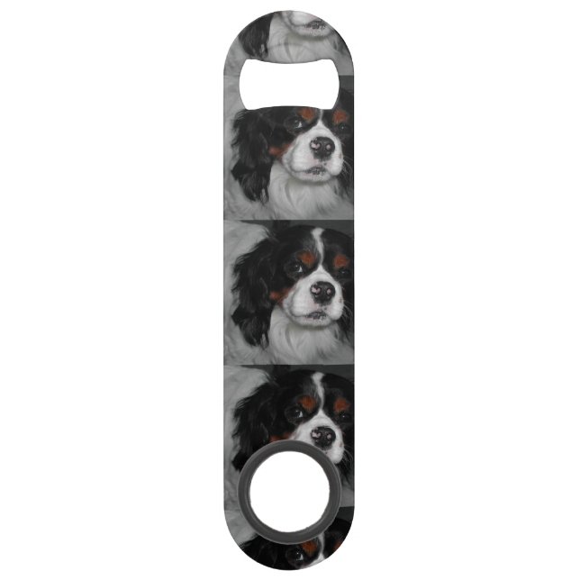 cavalier king charles spaniel tri (Front)