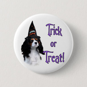 Cavalier King Charles Spaniel Trick 6 Cm Round Badge