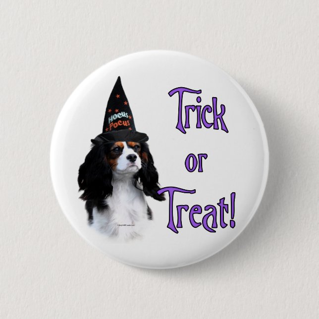 Cavalier King Charles Spaniel Trick 6 Cm Round Badge (Front)