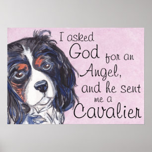 cavalier king charles spaniel tricolor art poster
