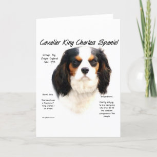Cavalier King Charles Spaniel (tricolor) History Holiday Card