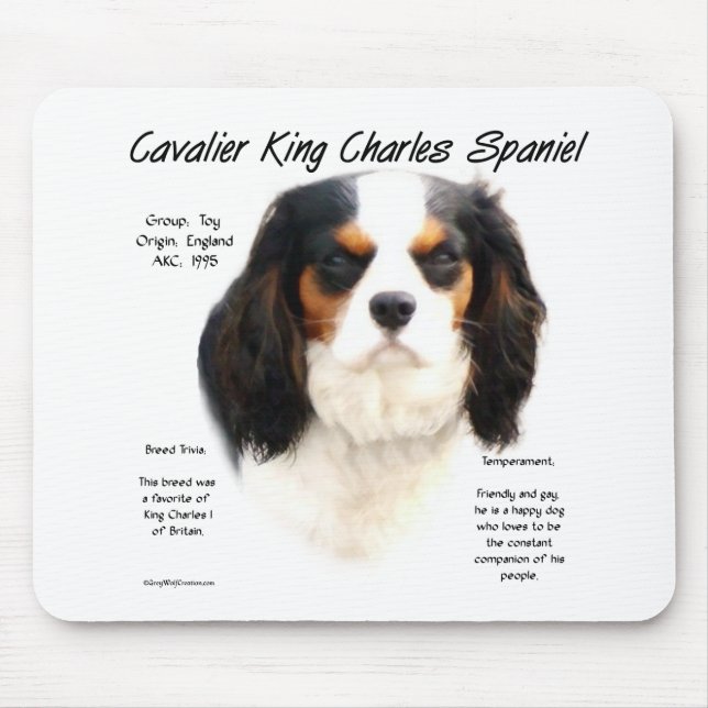 Cavalier King Charles Spaniel (tricolor) History Mouse Mat (Front)