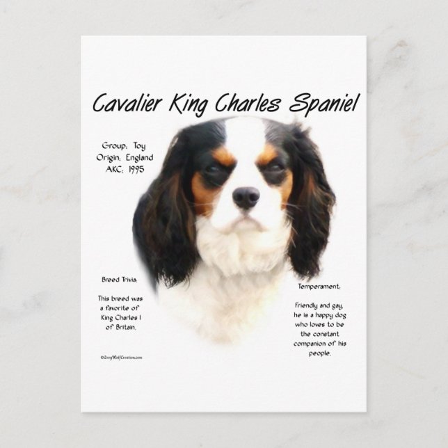 Cavalier King Charles Spaniel (tricolor) History Postcard (Front)