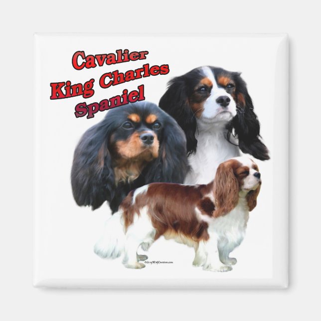 Cavalier King Charles Spaniel Trio 2 - Magnet (Front)