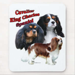 Cavalier King Charles Spaniel Trio 2 Mouse Mat