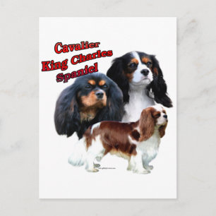 Cavalier King Charles Spaniel Trio 2 Postcard