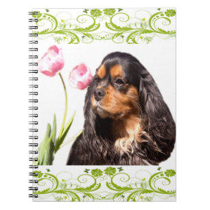 Cavalier King Charles Spaniel Tulips Notebook
