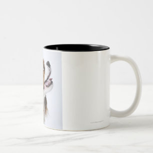 Cavalier King Charles Spaniel Two-Tone Coffee Mug