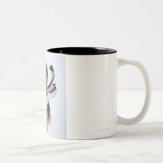 Cavalier King Charles Spaniel Two-Tone Coffee Mug (Right)