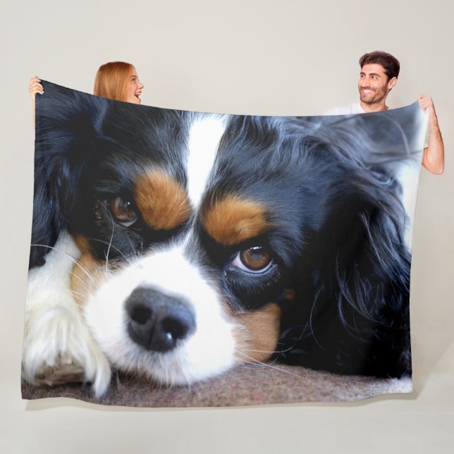 CAVALIER KING CHARLES SPANIELS FLEECE BLANKET (In Situ)