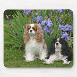 Cavalier King Charles Spaniels in Iris Garden Mouse Mat