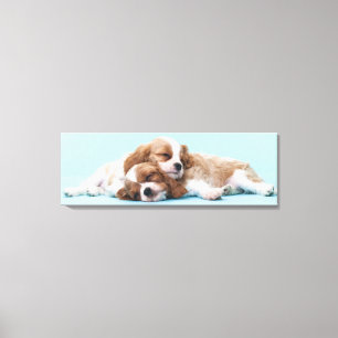 Cavalier King Charles Spaniels Sleeping Canvas Print