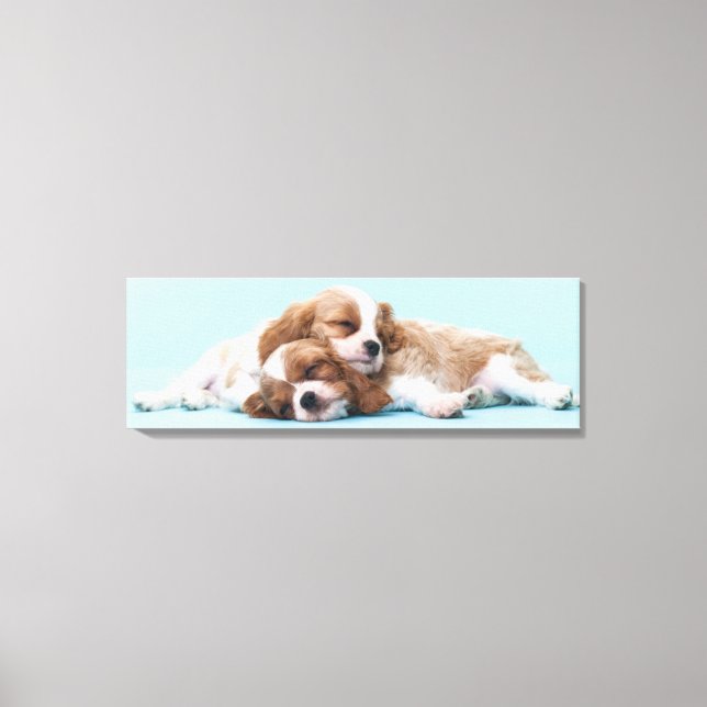 Cavalier King Charles Spaniels Sleeping Canvas Print (Front)
