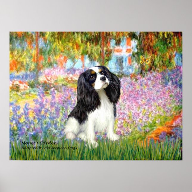 Cavalier King Charles (tri colour) - Garden Poster (Front)