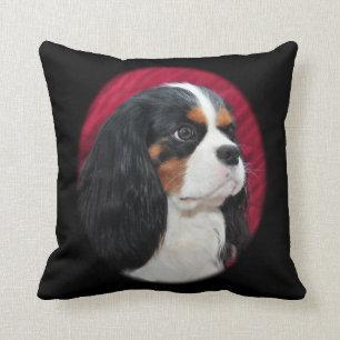 Cavalier King Charles Tri-Colour Pillow