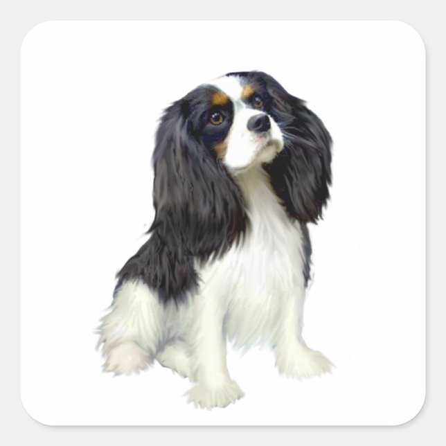 Cavalier King Charles - Tri Coloured Square Sticker (Front)