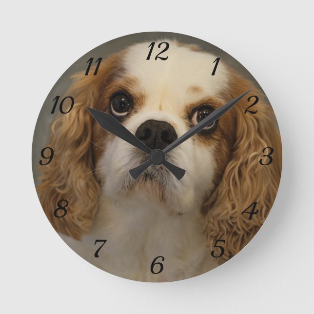 Cavalier King Charles Wall Clock (Front)