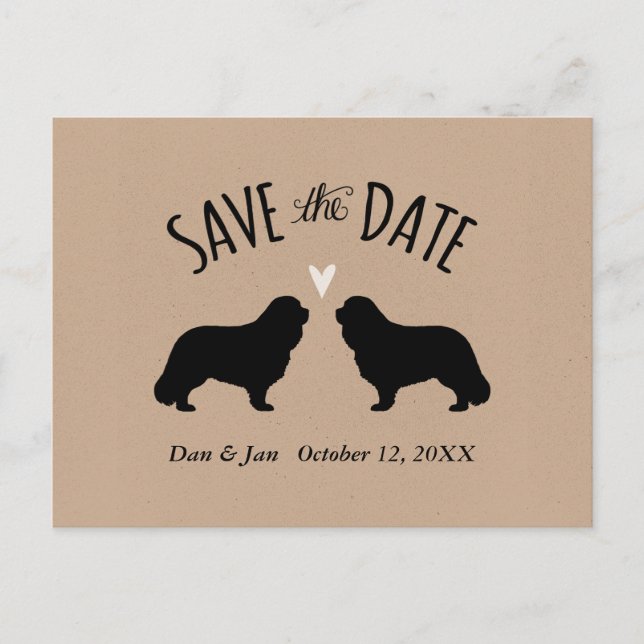 Cavalier King Charles Wedding Save the Date Announcement Postcard (Front)