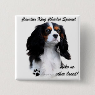 Cavalier Like No Other Breed 15 Cm Square Badge