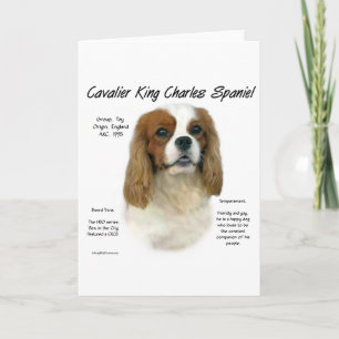 Cavalier Like No Other Breed Holiday Card