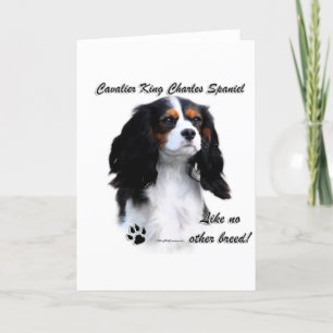 Cavalier Like No Other Breed Holiday Card
