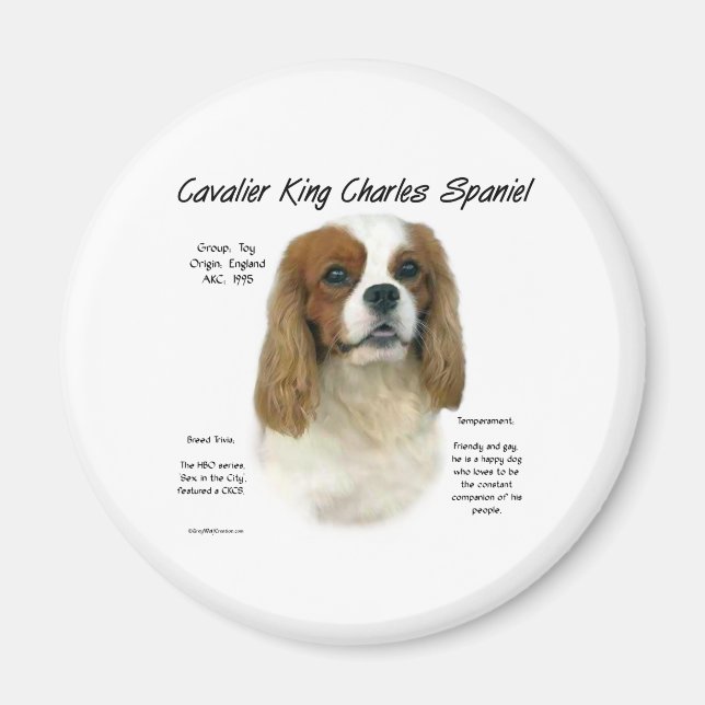 Cavalier Like No Other Breed - Magnet (Front)