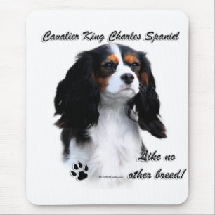 Cavalier Like No Other Breed Mouse Mat