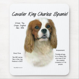 Cavalier Like No Other Breed Mouse Mat
