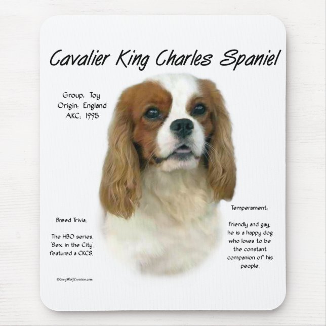 Cavalier Like No Other Breed Mouse Mat (Front)