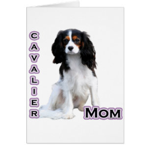 Cavalier Mum 4