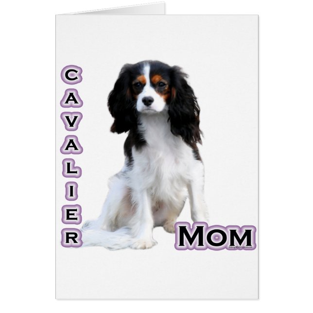 Cavalier Mum 4 (Front)
